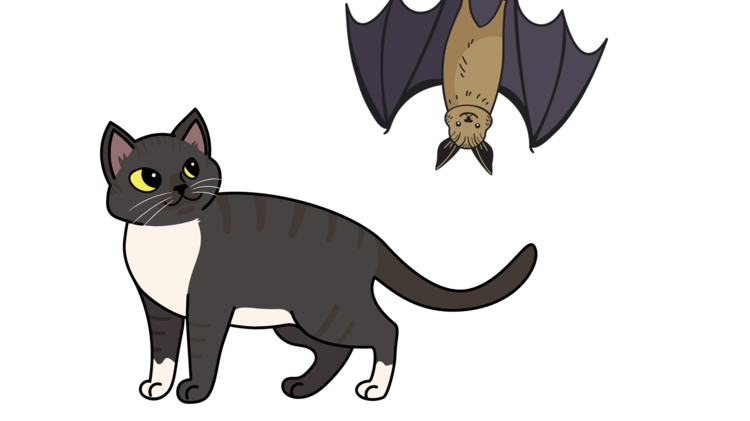 Are bats dangerous to my pets?