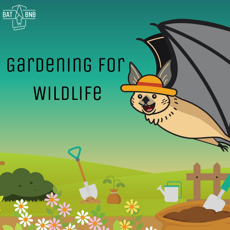 Gardening For Wildlife