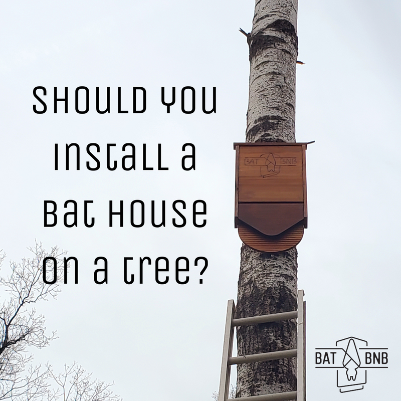 Installing on a Tree?