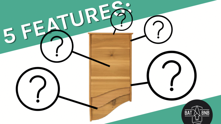 5 Key Qualities of a Successful Bat House