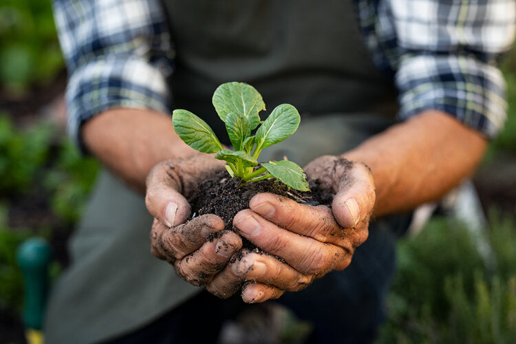 Ultimate Sustainable Gardening Gift Guide (for all budgets)