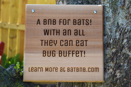Cedar Sign: BnB with a Bug Buffet 1 - BatBnB
