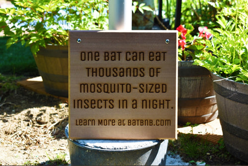 Cedar Sign: What Bats Eat 2 - BatBnB