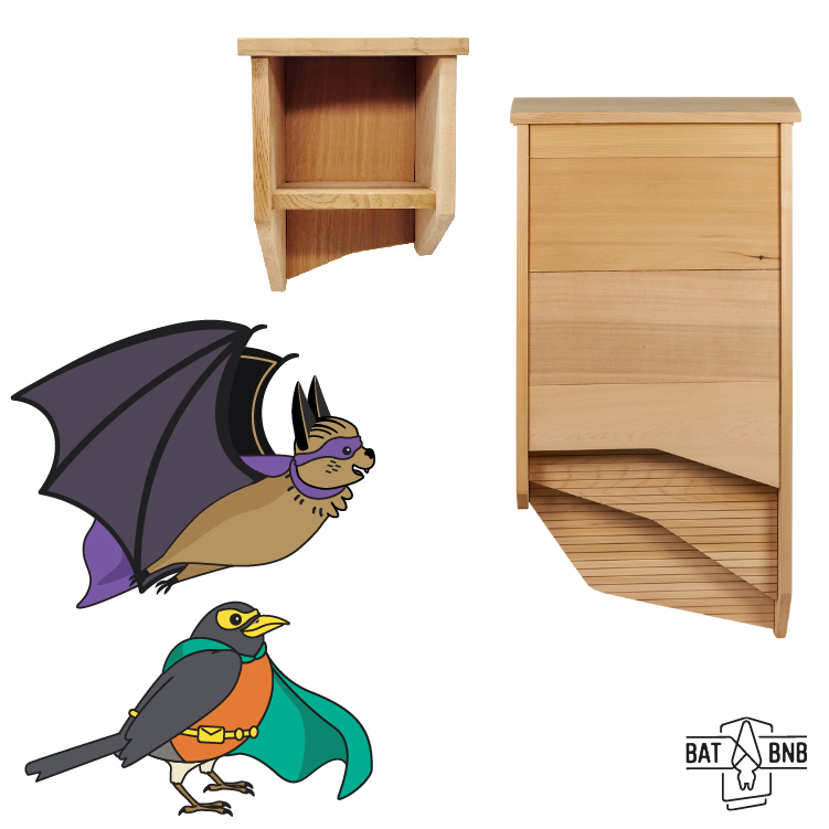 The Dynamic Duo Bundle: Batman & Robin 2 - BatBnB