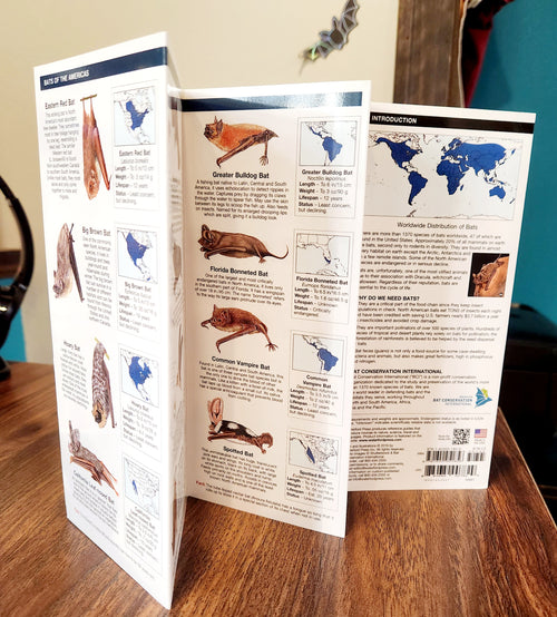 Bats: A Folding Pocket Guide - BatBnB